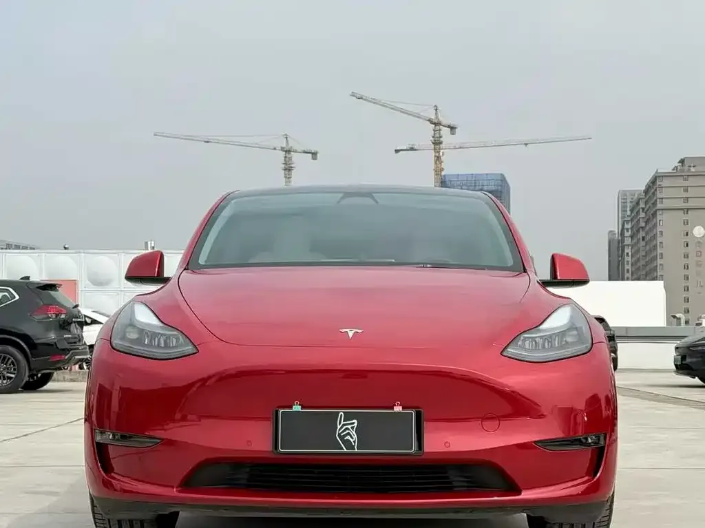 Tesla Model Y — фото 2