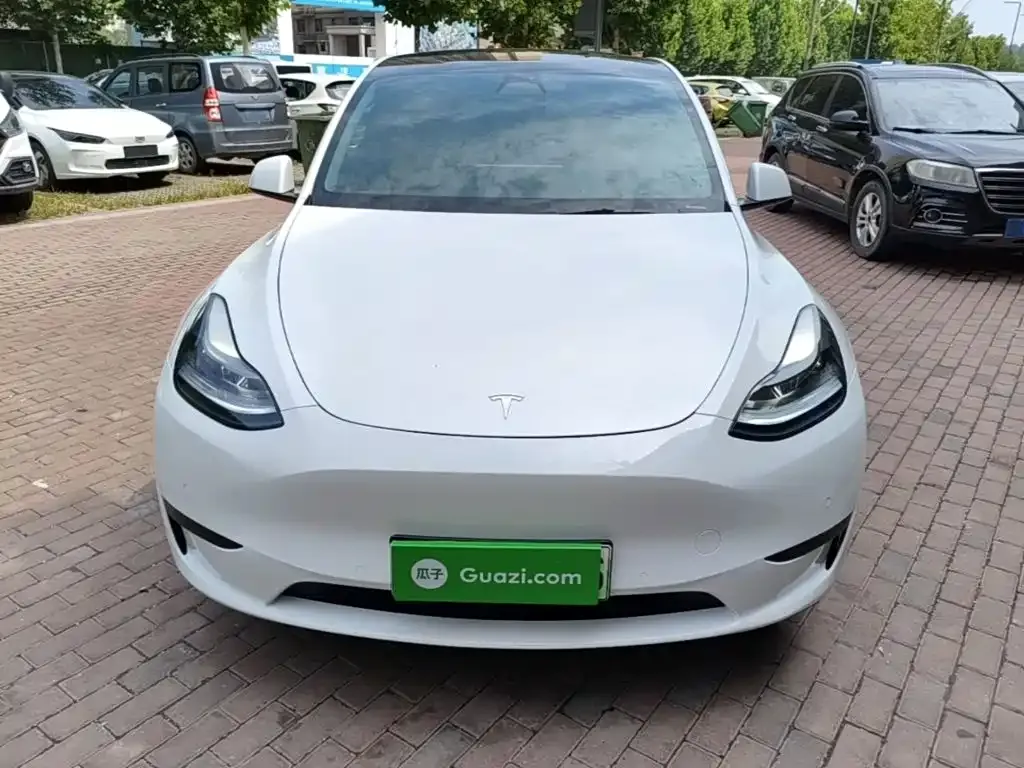 Tesla Model Y — фото 10