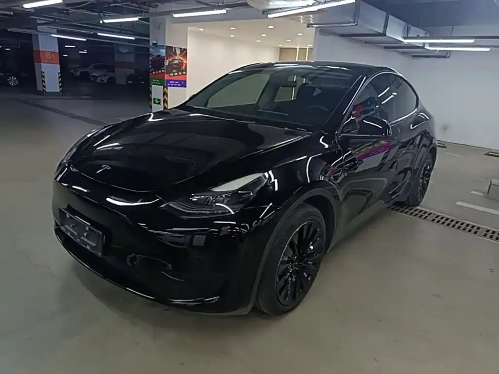 Tesla Model Y — фото 1