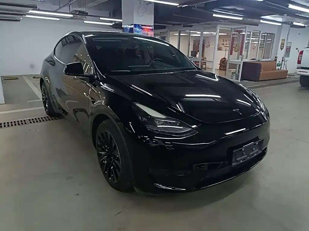 Tesla Model Y — фото 8