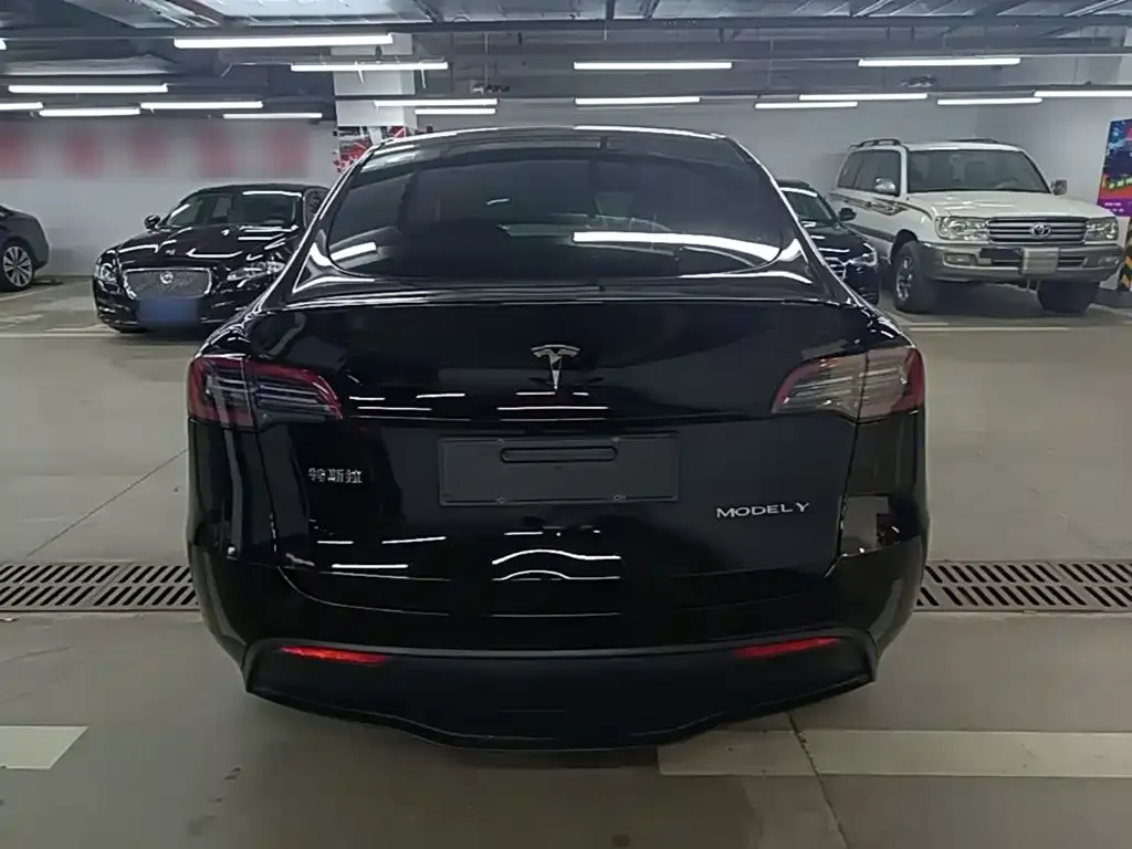 Tesla Model Y — фото 6
