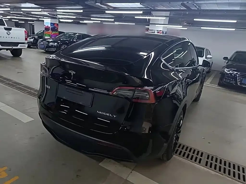 Tesla Model Y — фото 10