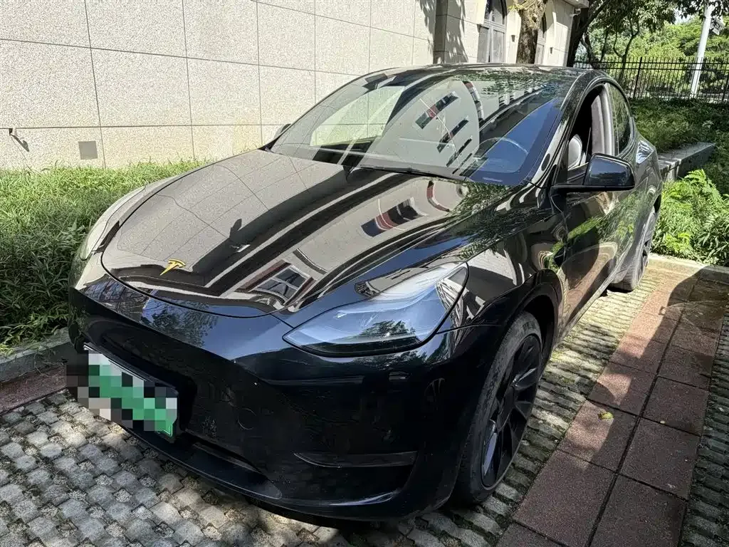 Tesla Model Y — фото 1