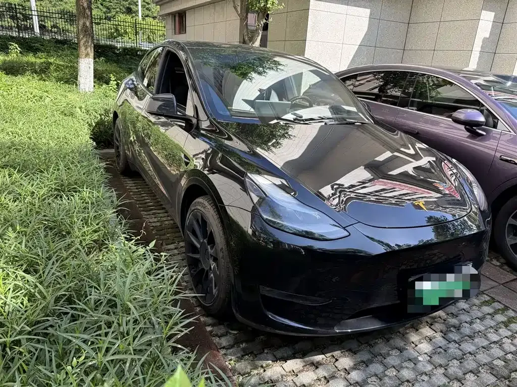 Tesla Model Y — фото 10