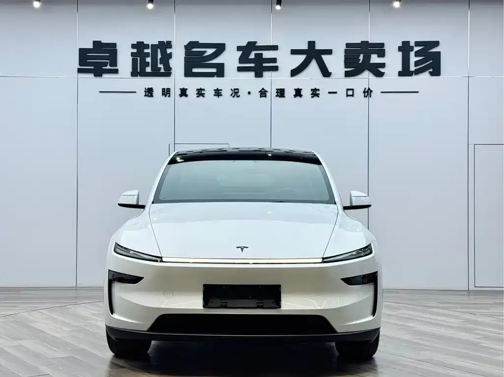 Tesla Model Y — фото 2