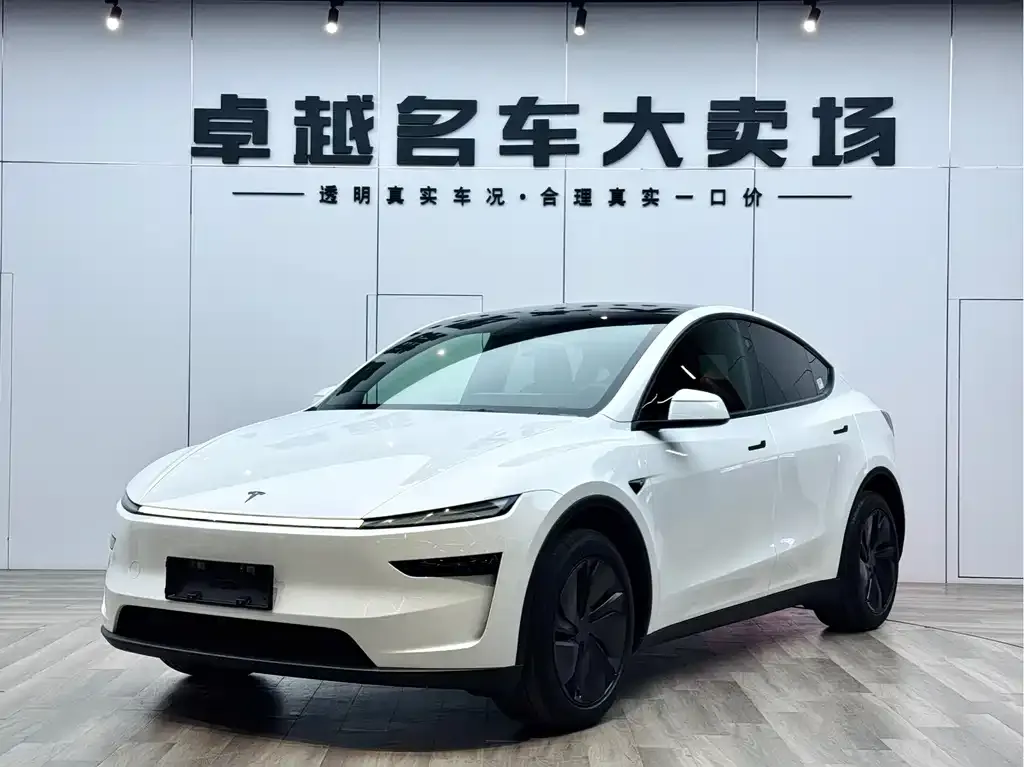Tesla Model Y — фото 6
