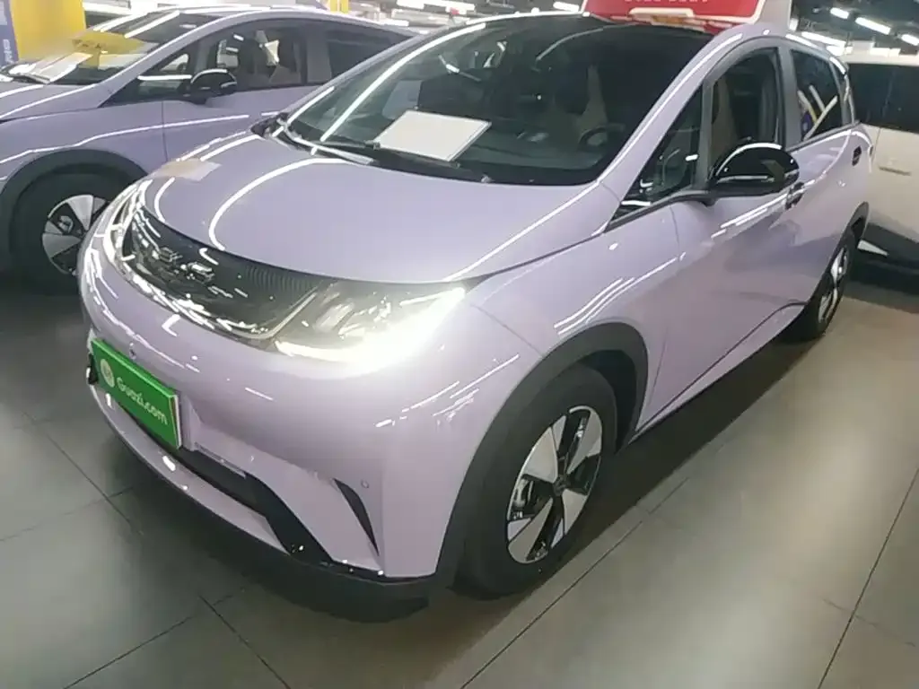 BYD Dolphin