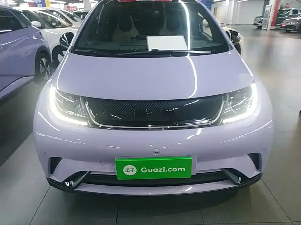 BYD Dolphin 2023 из CN, фото 10