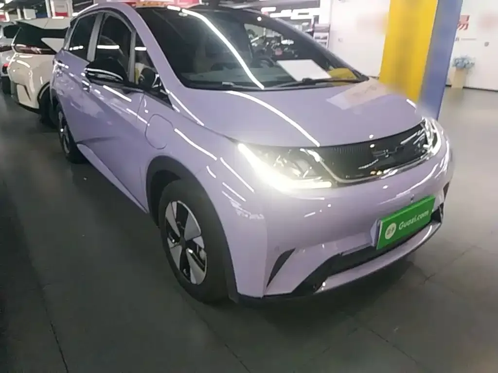 BYD Dolphin 2023 из CN, фото 8
