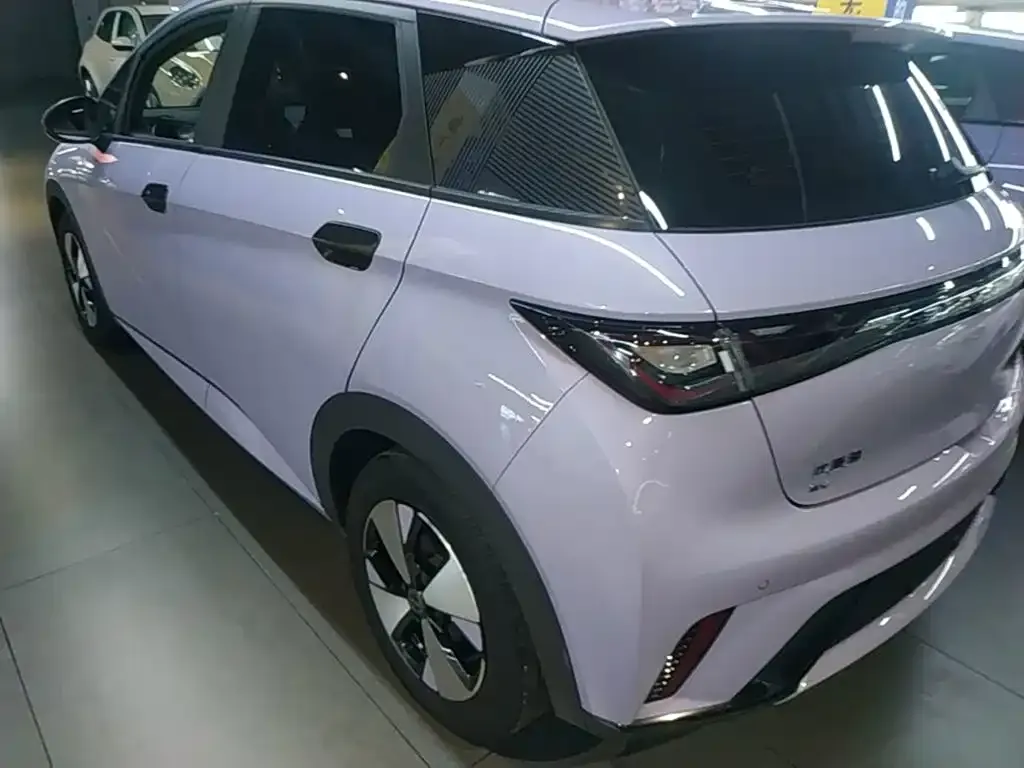 BYD Dolphin 2023 из CN, фото 9