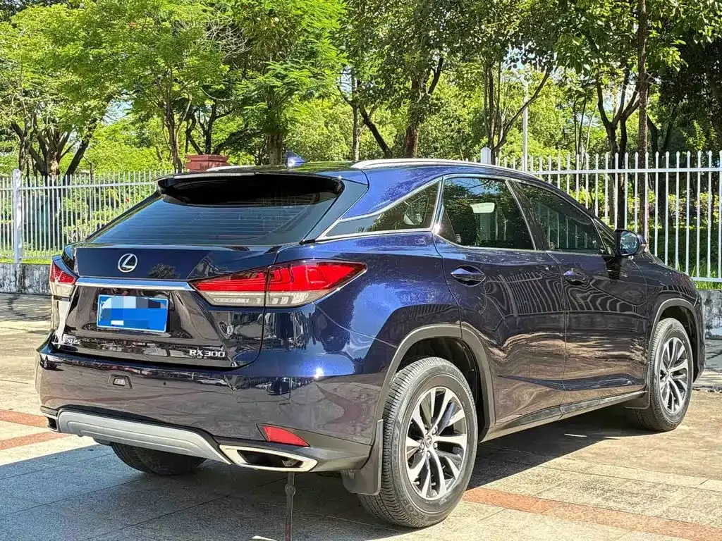 Lexus RX — фото 5