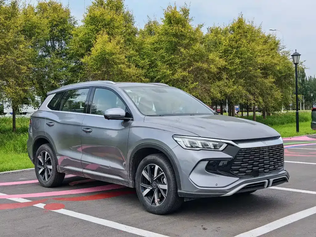 BYD Pro New Energy — фото 9