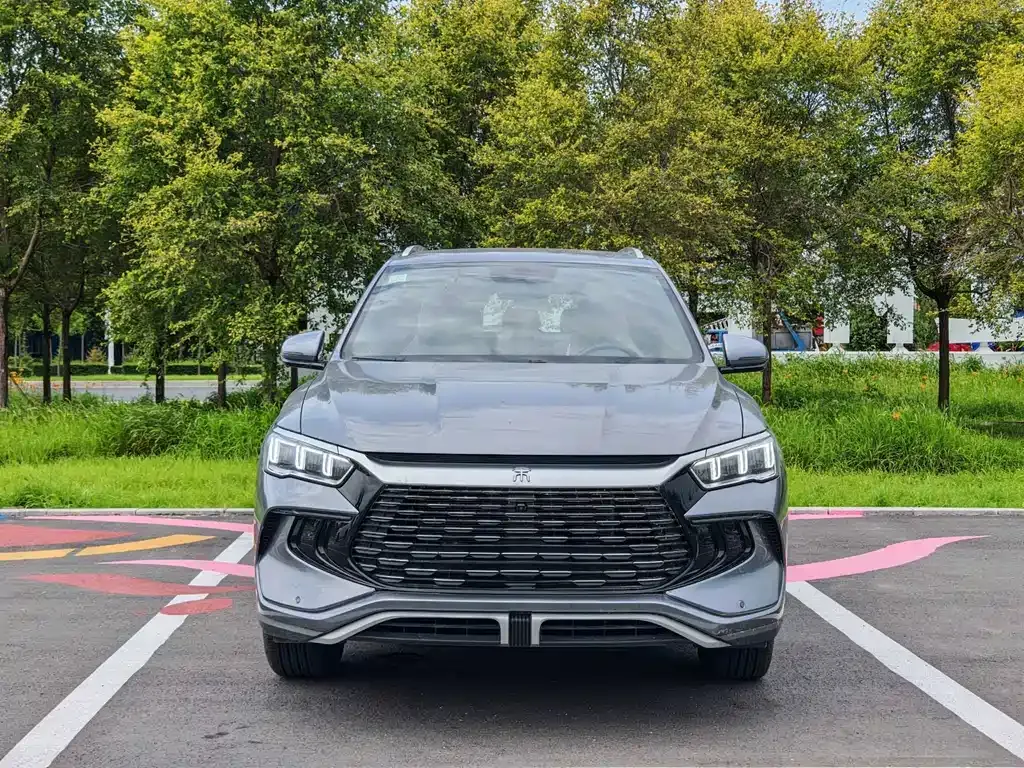 BYD Pro New Energy — фото 8