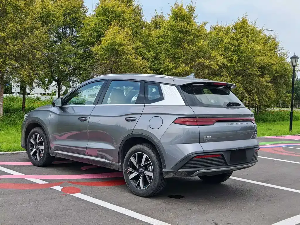 BYD Pro New Energy — фото 7