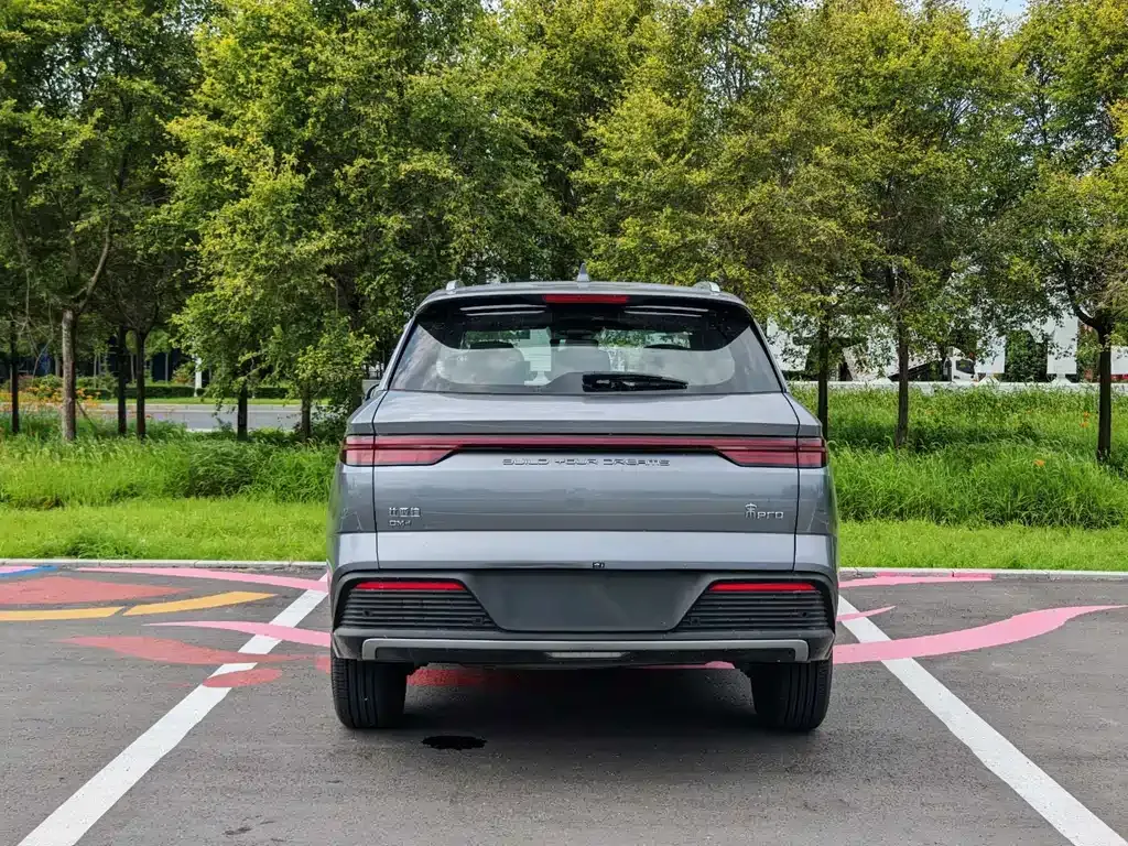 BYD Pro New Energy — фото 6