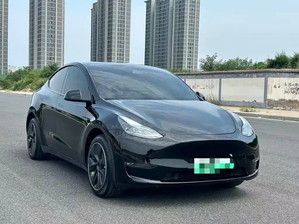 Tesla Model Y — фото 10