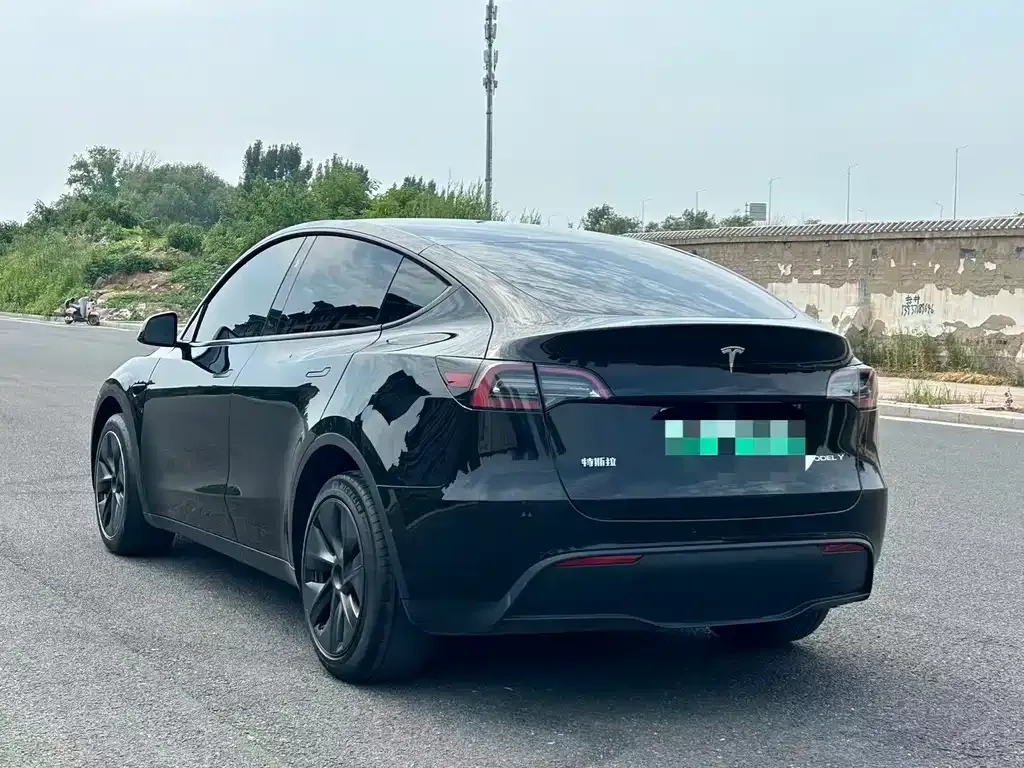 Tesla Model Y — фото 6