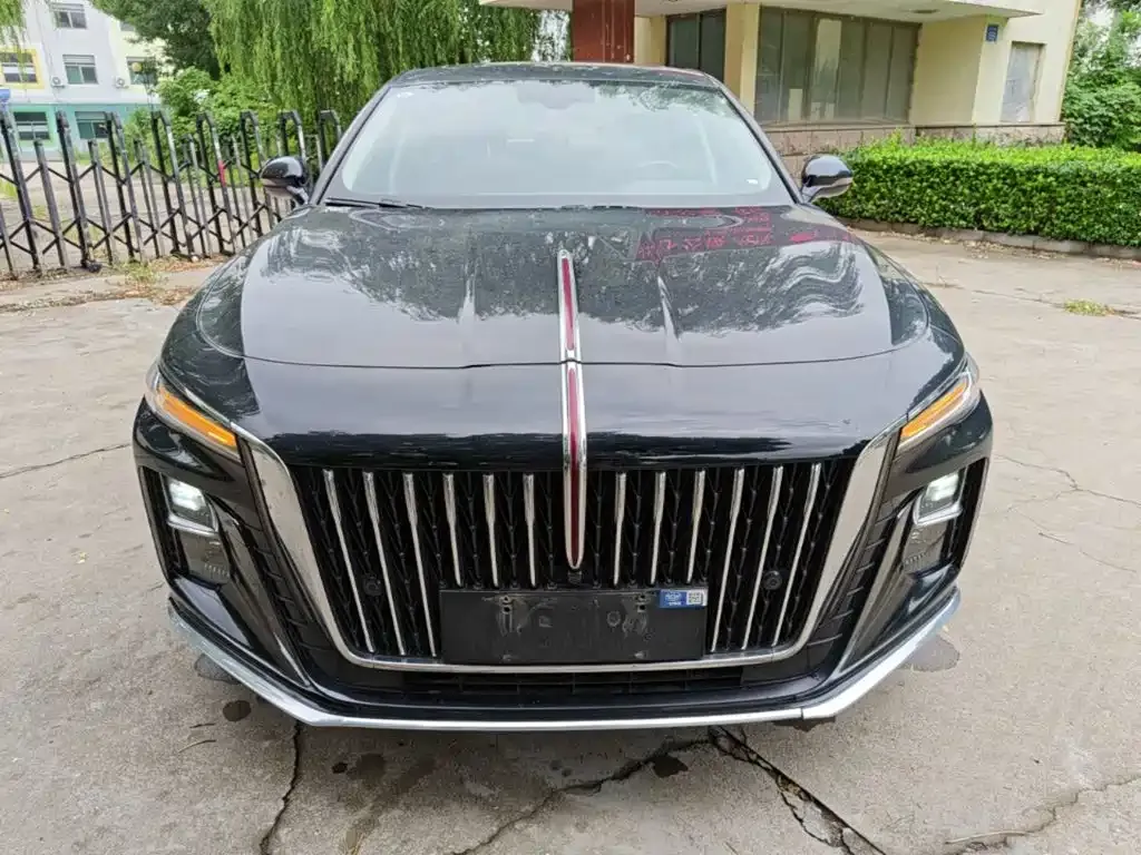 Hongqi H5 2024 из CN, фото 4