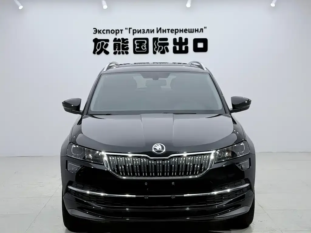 Skoda Karoq — фото 3