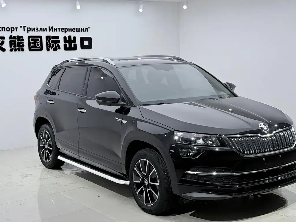 Skoda Karoq — фото 9