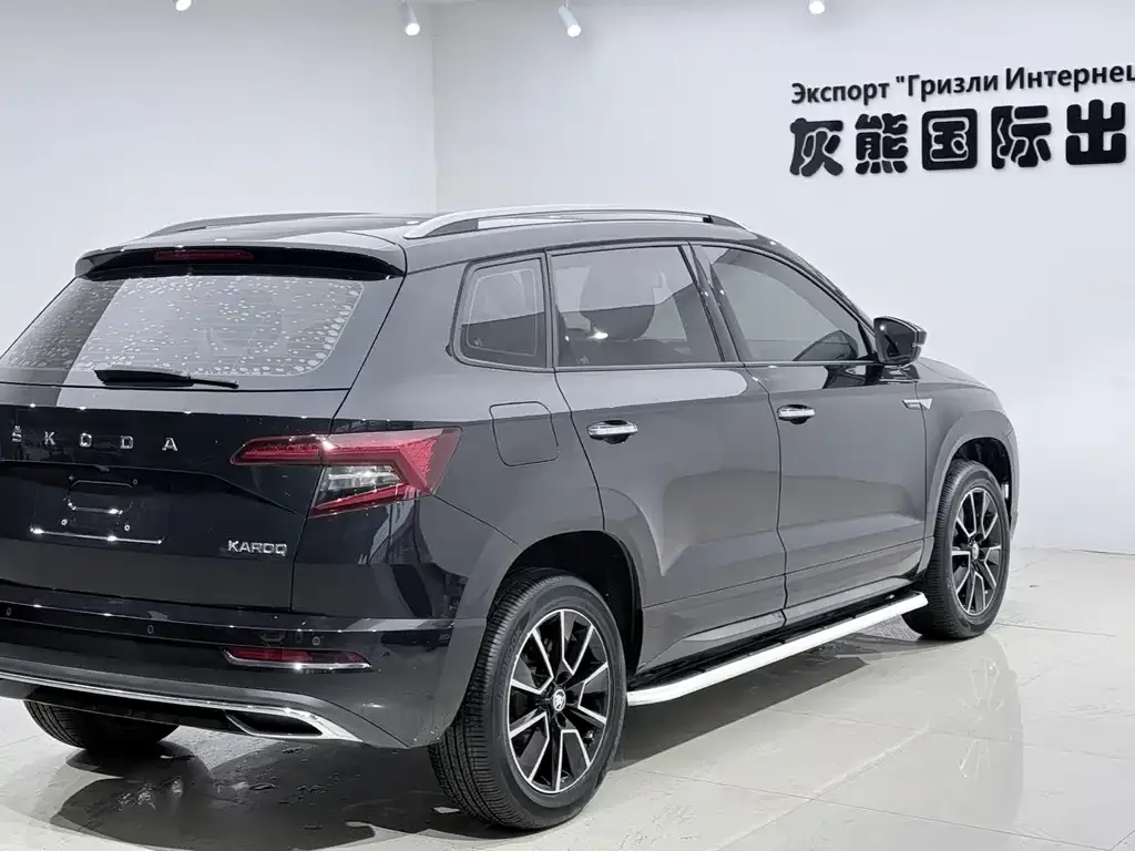 Skoda Karoq — фото 8
