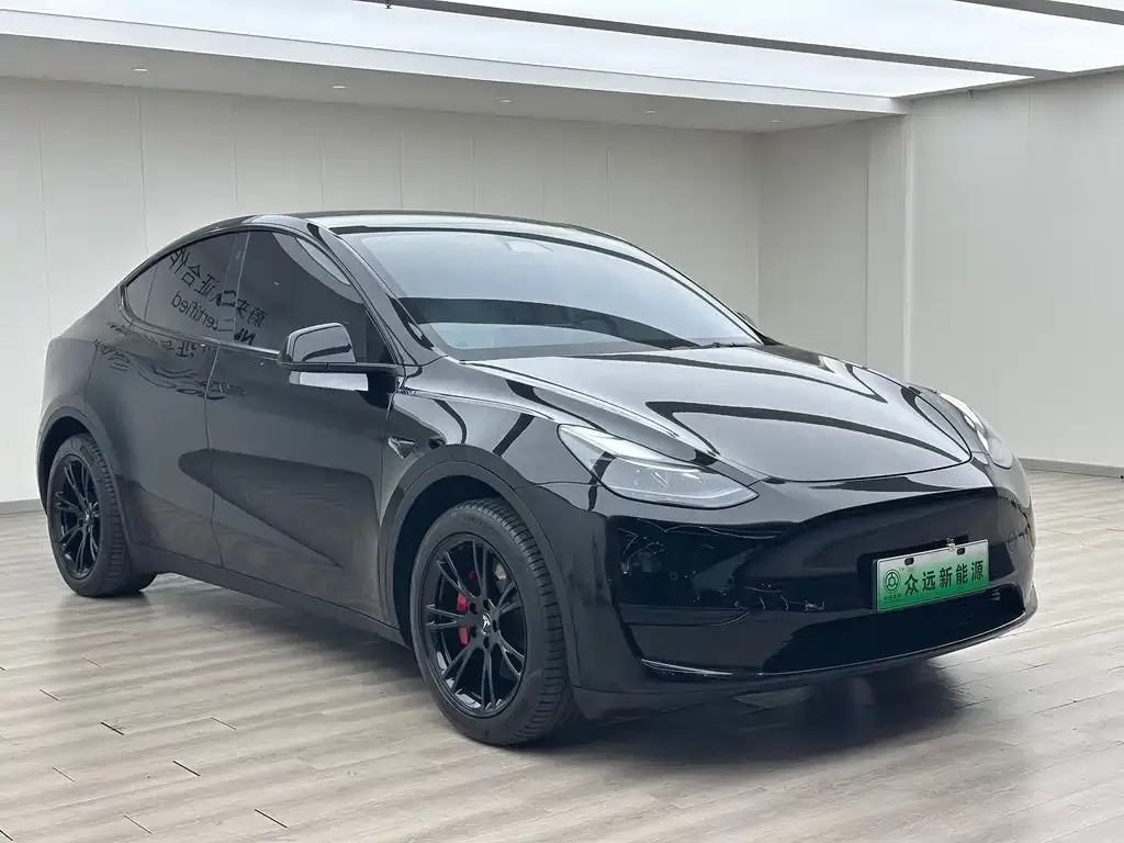 Tesla Model Y — фото 4