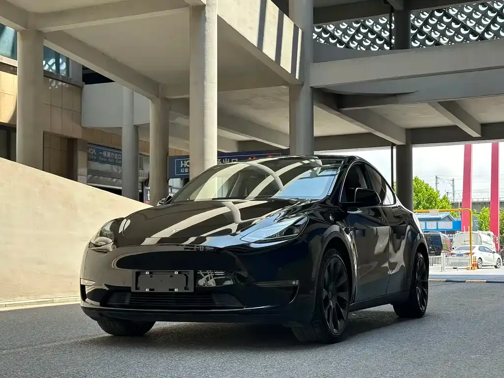 Tesla Model Y — фото 2