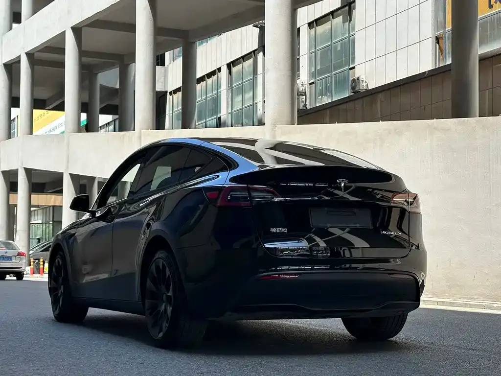 Tesla Model Y — фото 8