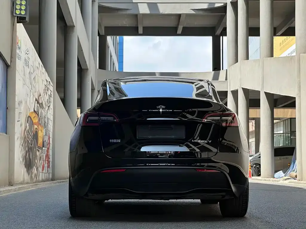 Tesla Model Y — фото 5