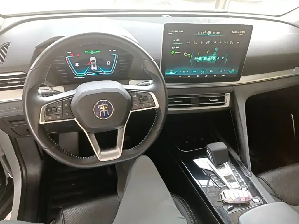 BYD Pro New Energy — фото 9