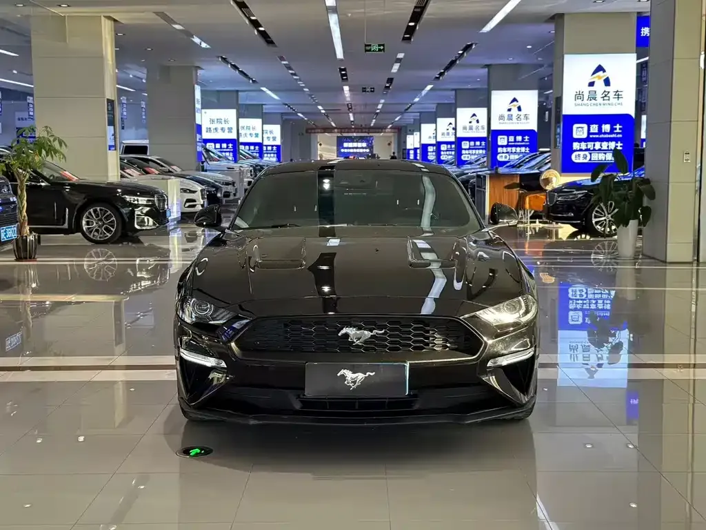 Ford Mustang — фото 1