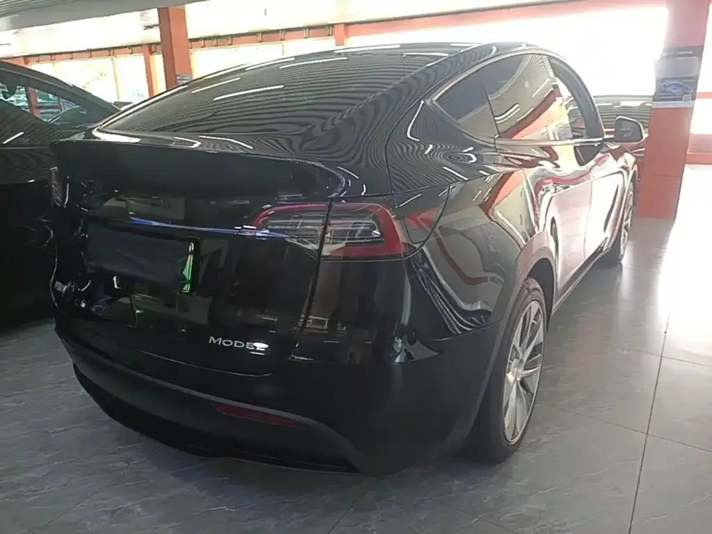 Tesla Model Y — фото 10