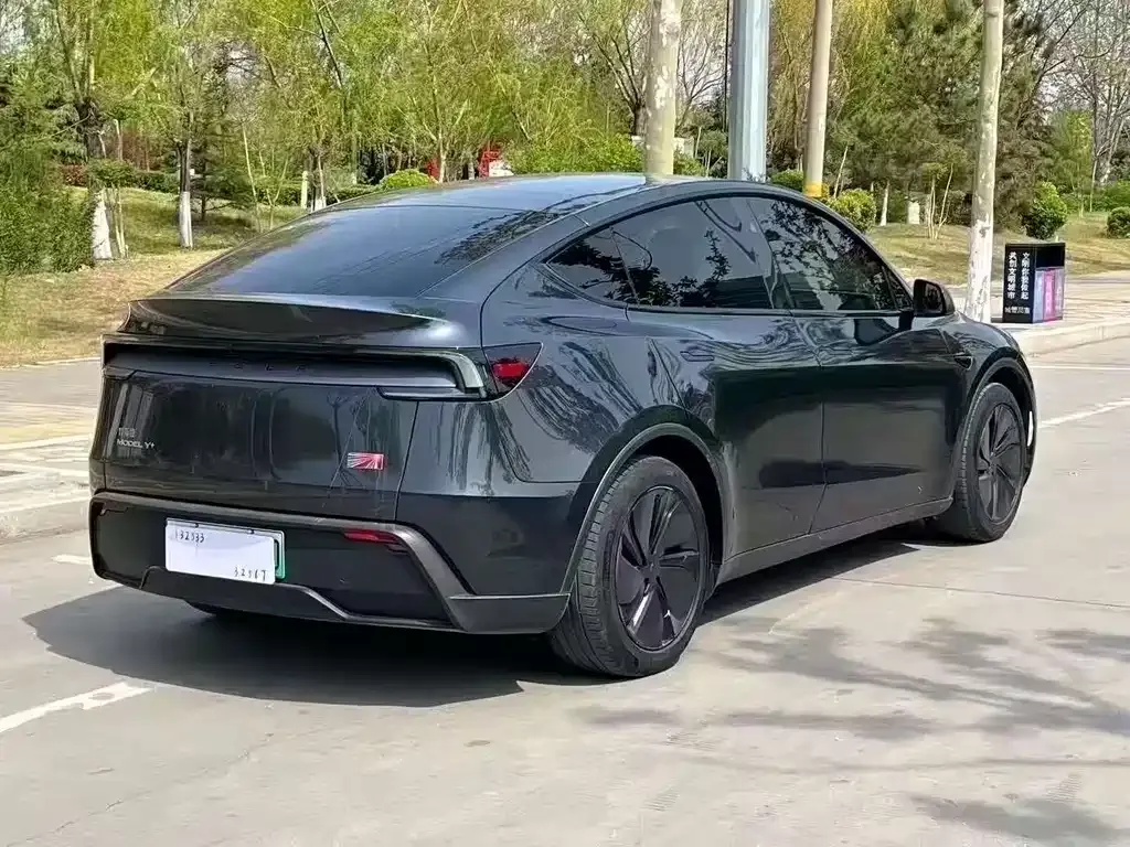 Tesla Model Y — фото 9