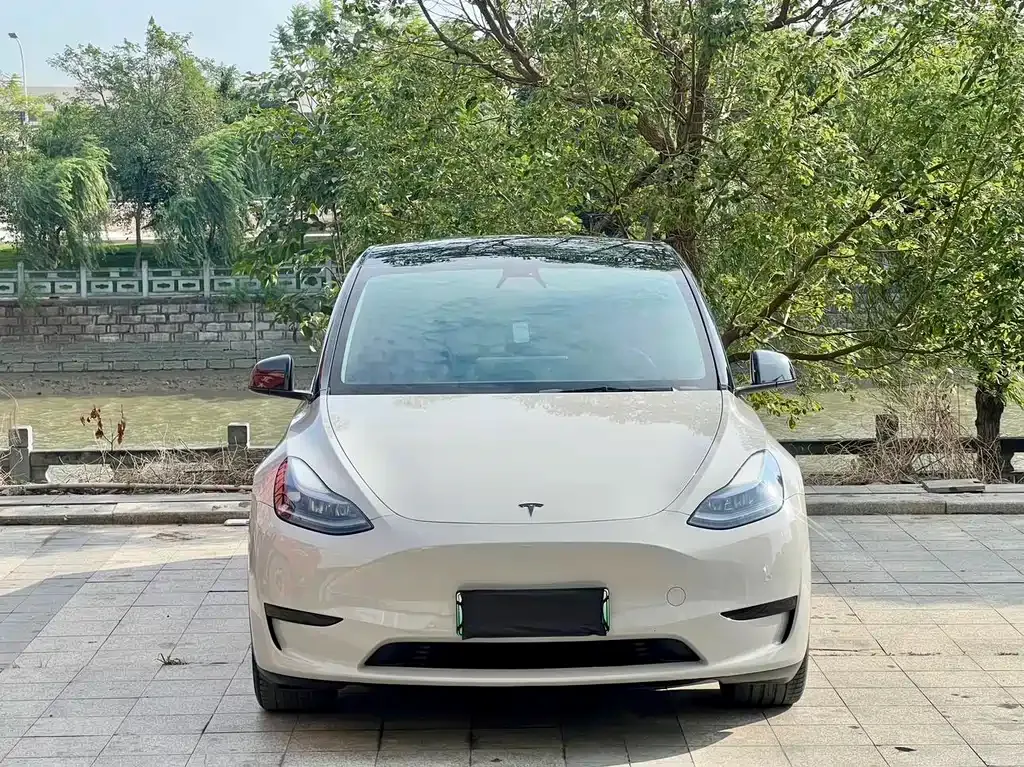 Tesla Model Y — фото 9