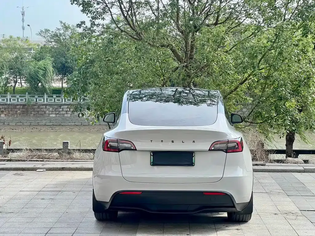 Tesla Model Y — фото 10
