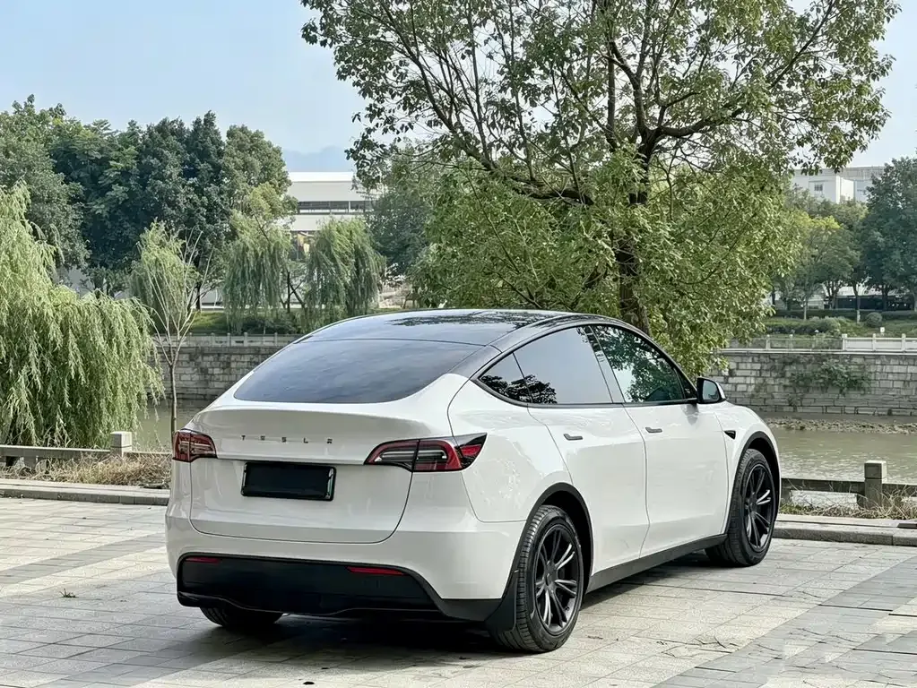 Tesla Model Y — фото 8