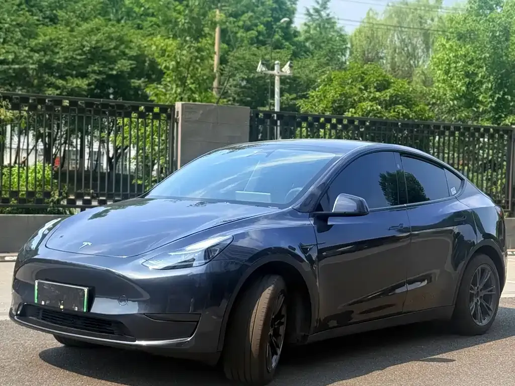 Tesla Model Y — фото 1