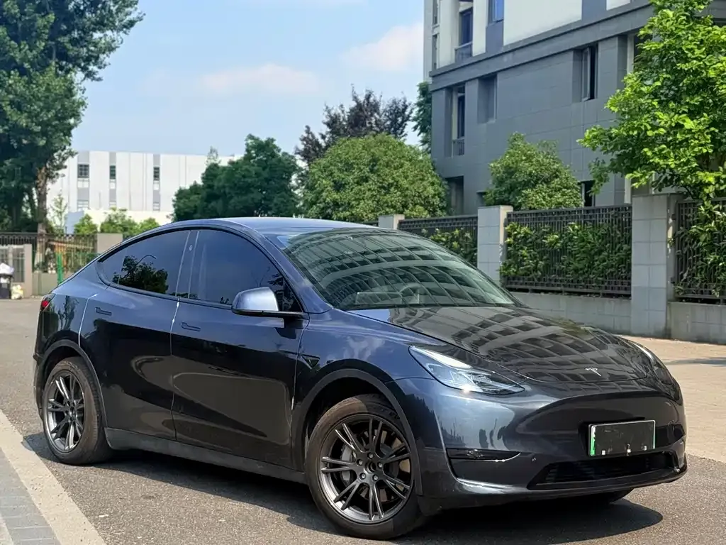 Tesla Model Y — фото 2