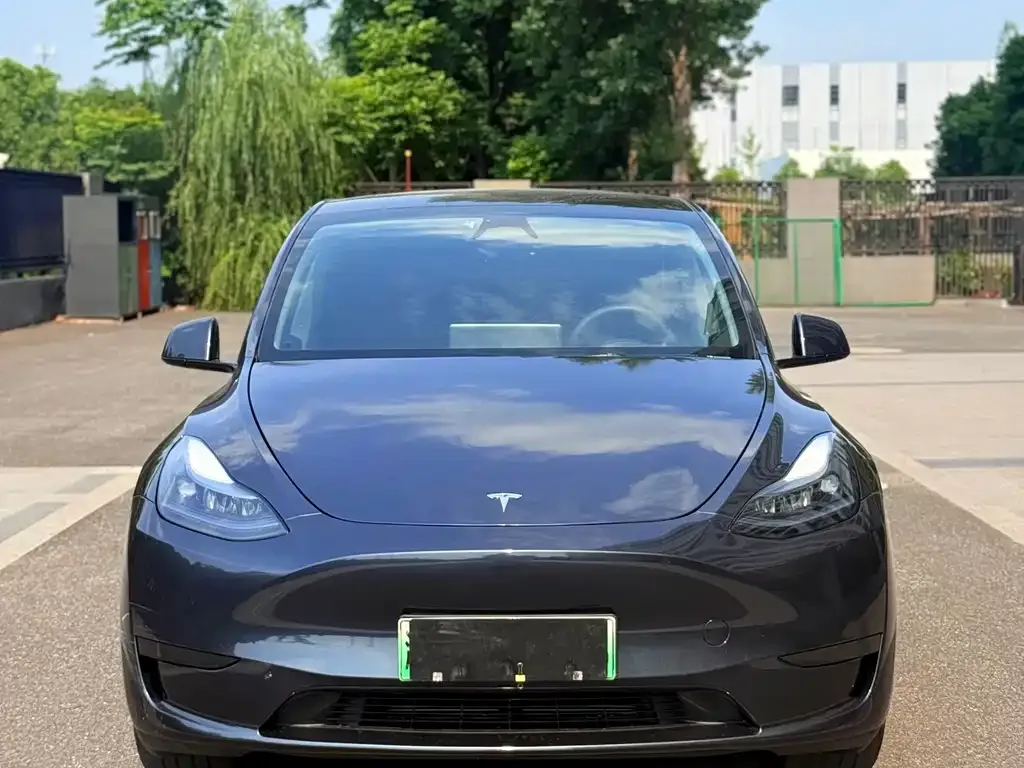 Tesla Model Y — фото 6