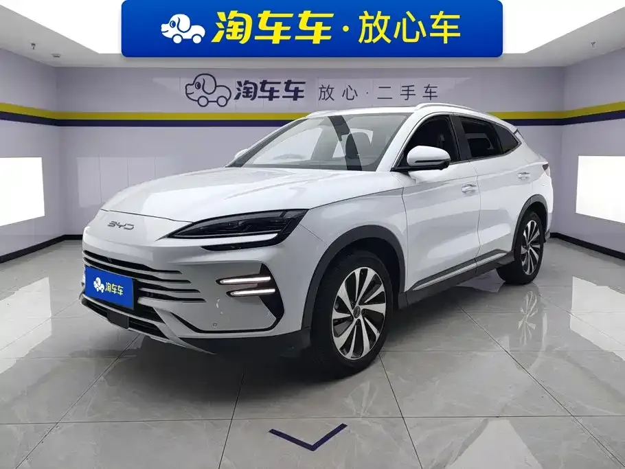 BYD PLUS New Energy — фото 1