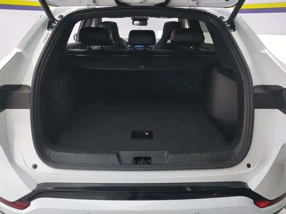 BYD PLUS New Energy — фото 10
