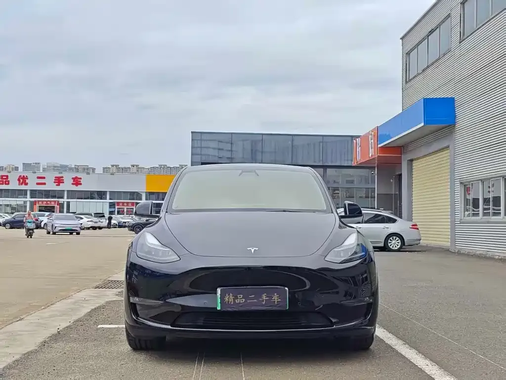 Tesla Model Y — фото 4