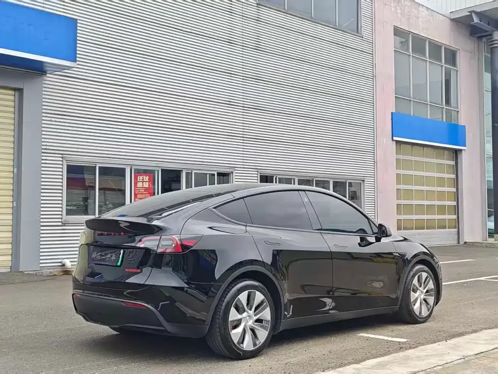 Tesla Model Y — фото 9