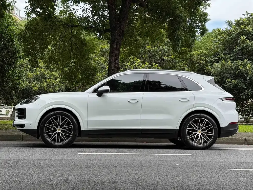 Porsche Cayenne — фото 6