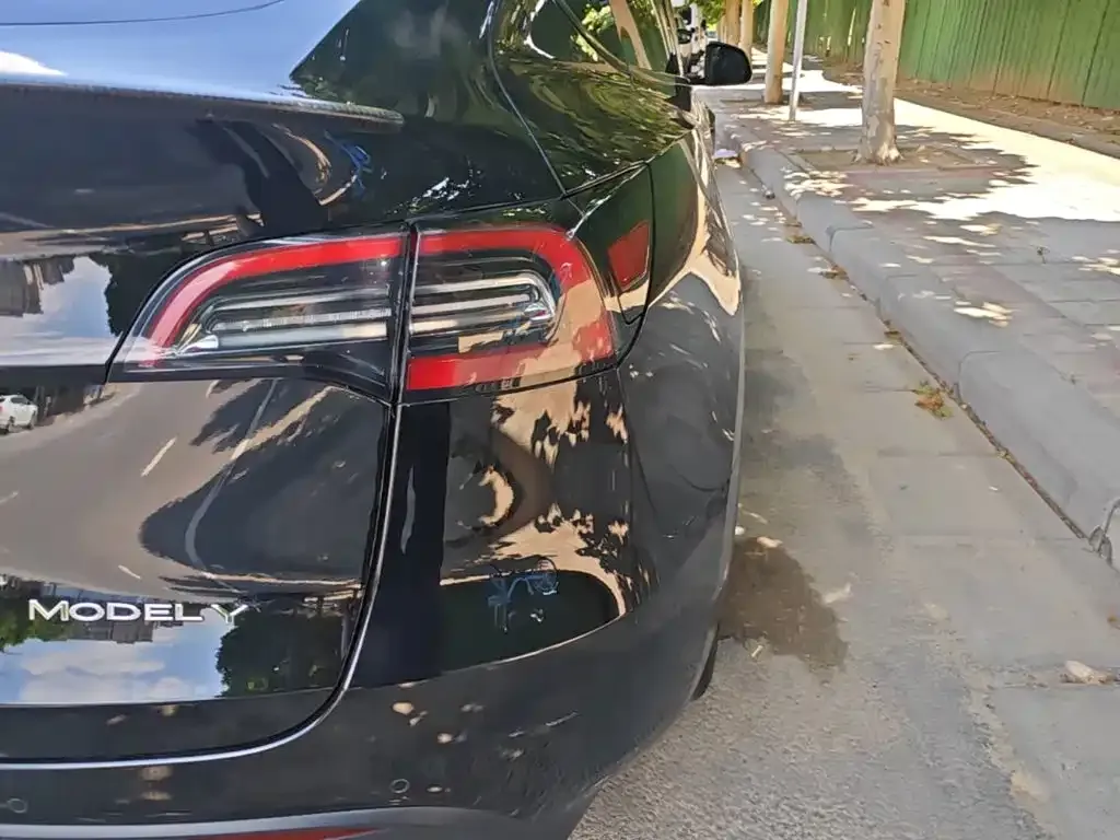 Tesla Model Y — фото 10