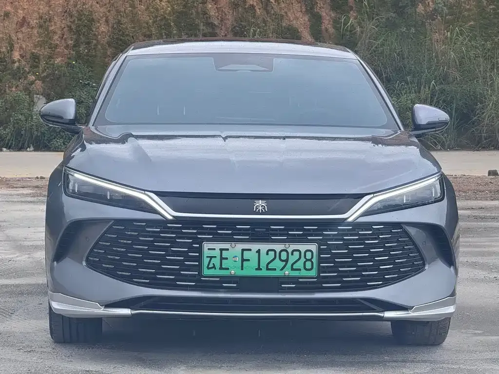 BYD Qin L — фото 4