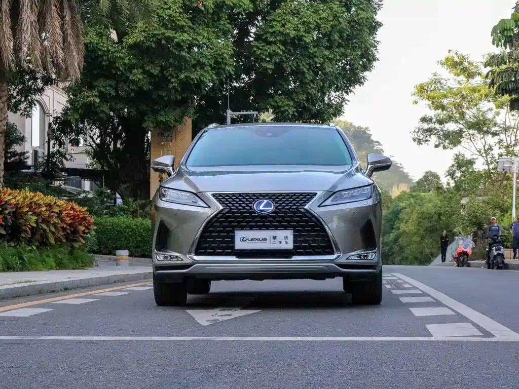 Lexus RX — фото 10