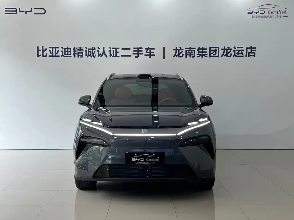 BYD Tang L — фото 3