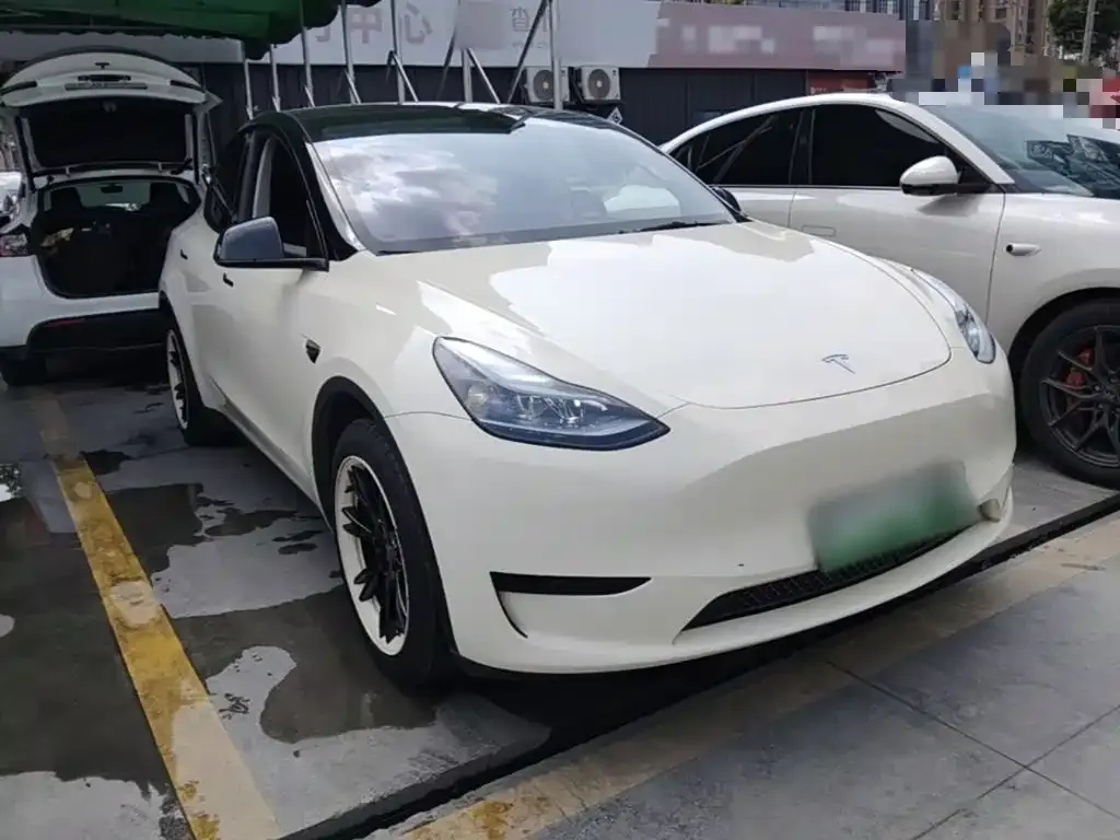 Tesla Model Y — фото 3