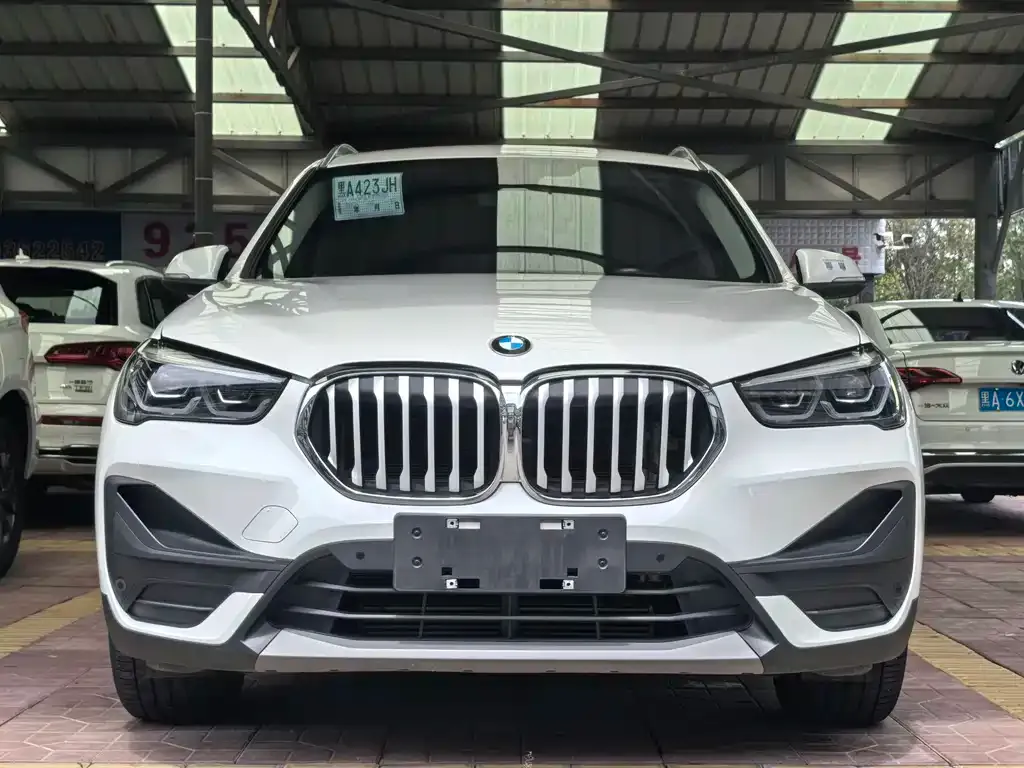 BMW X1 — фото 1